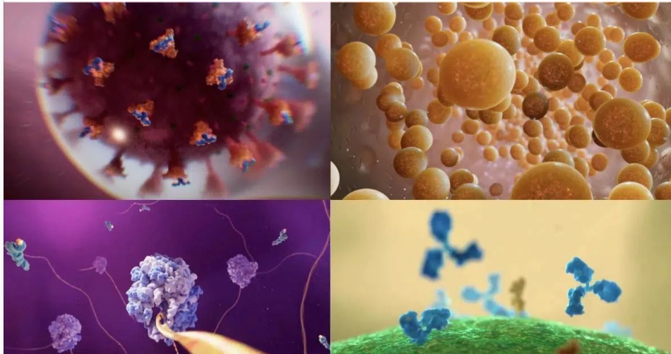 首個mRNA NFT以及之后的醫學數字未來圖片
