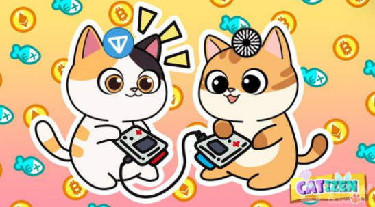 4Alpha Research：玩轉Catizen，TON生態最火爆 圖片